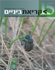 גיליון 15 לקריאת ביניים כריכה קדמית