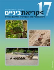גיליון 17 לקריאת ביניים - כריכה קדמית