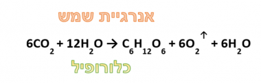 אנרגיית שמש 6C02 + 12H2O → C6H12O6 + 6O2 + 6H20 כלורופיל